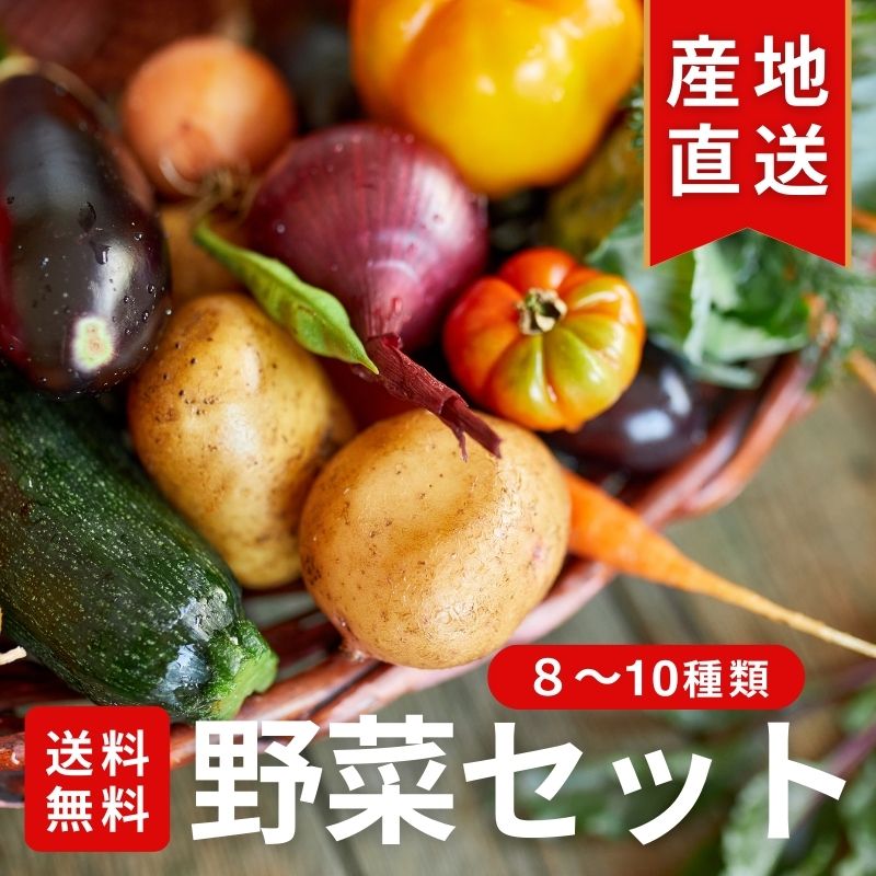 B級野菜定期便
