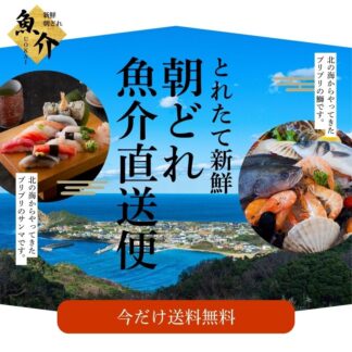 鮮魚セットA
