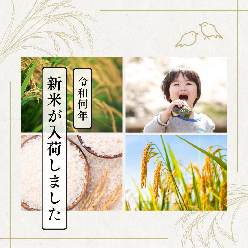 お米定期便