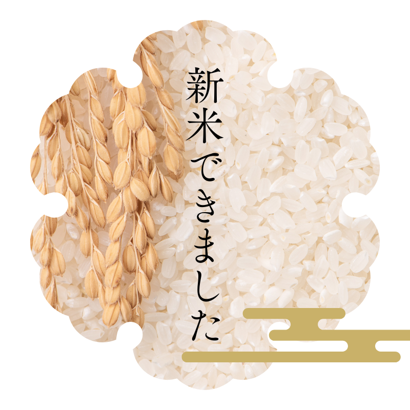 特選あきたこまち