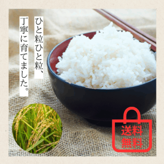 B級野菜定期便